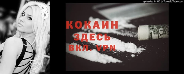 ешки Белокуриха