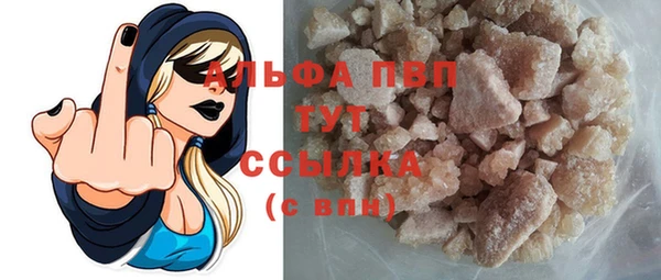 прущие грибы Белоозёрский