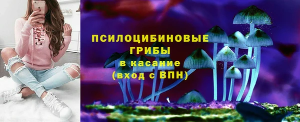 прущие грибы Белоозёрский
