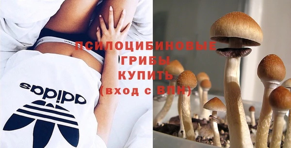 прущие грибы Белоозёрский