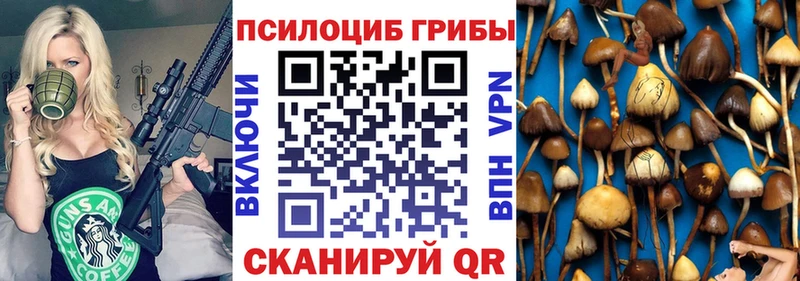 Купить где  Осинники  Галлюциногенные грибы GOLDEN TEACHER 